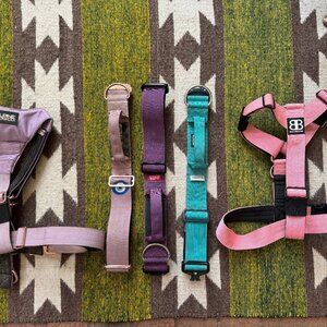 Bully Billows & Alpine Dog Lot